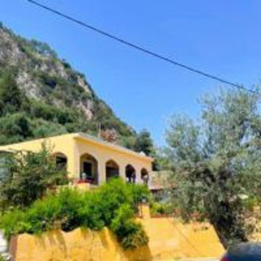 Vassilis Apartments Paleokastrítsa Extérieur photo